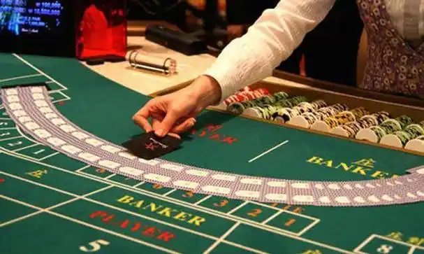 538bet19
