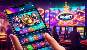 538bet19